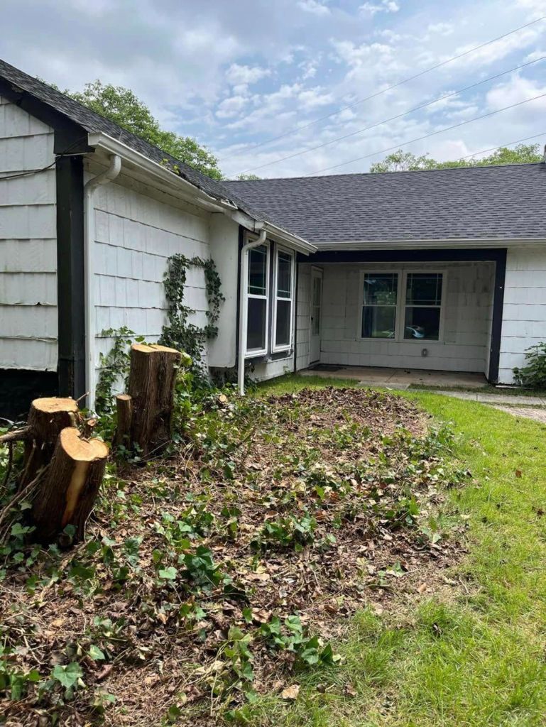 Before: deteriorated white cedar shake siding with overgrown ivy on front of house